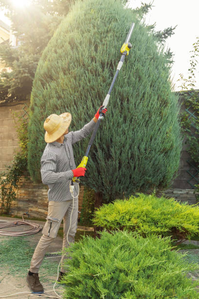 Leaf Removal in Hilton, NY